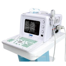 b scan Ultraschallgerät und tragbares Ultraschallgerät
